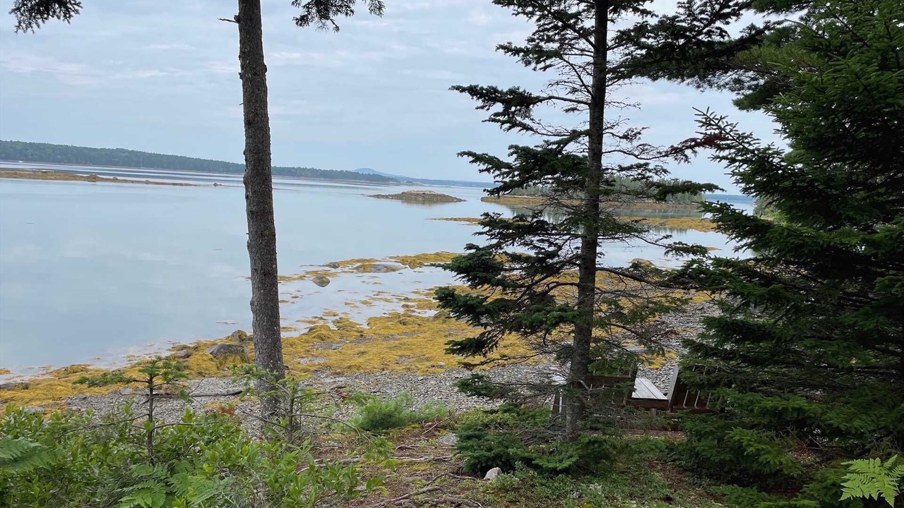 Photo of Others in Mount Desert