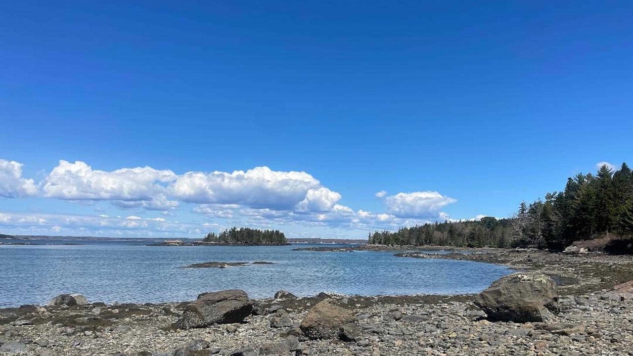 Photo of Others in Mount Desert