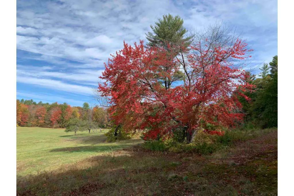 Photo of Outdoor in Auburn