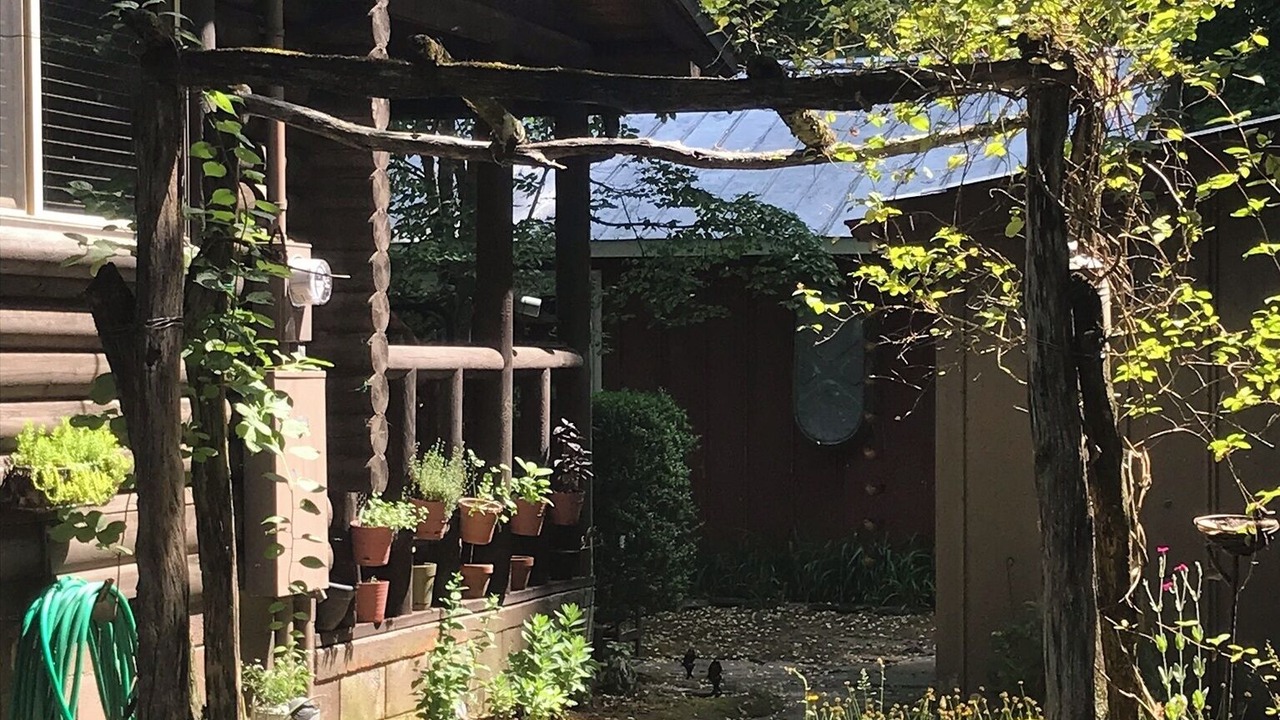 Photo of Others in Bryson City