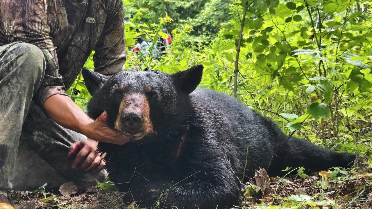 Photo of Others in North Penobscot