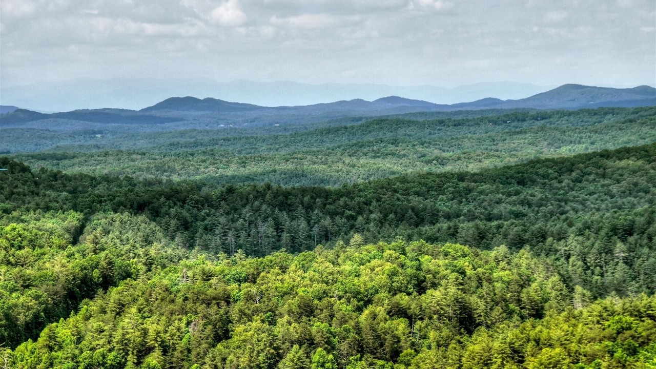Photo of Others in Raccoon Ridge