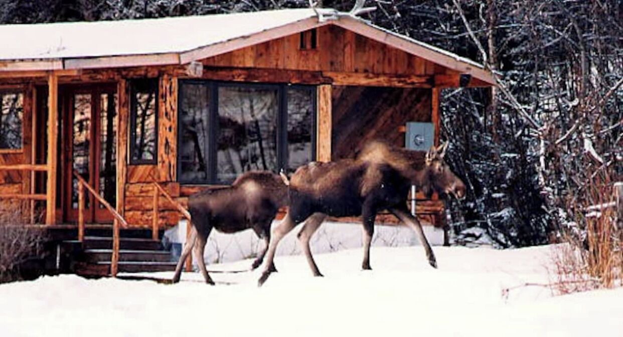 Photo of Outdoor in Homer