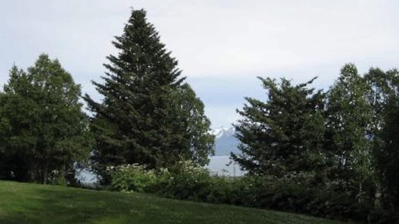 Photo of Others in Homer
