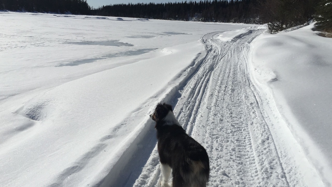 Photo of Outdoor in Cohoe
