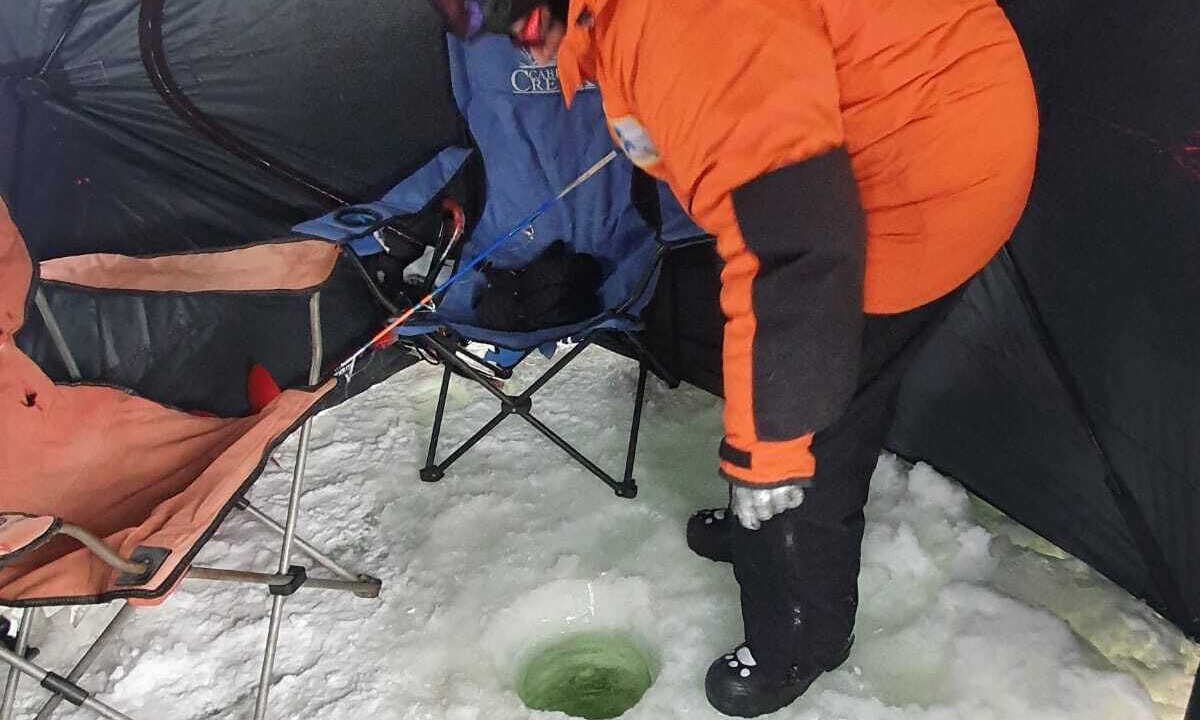 Photo of Others in Cohoe