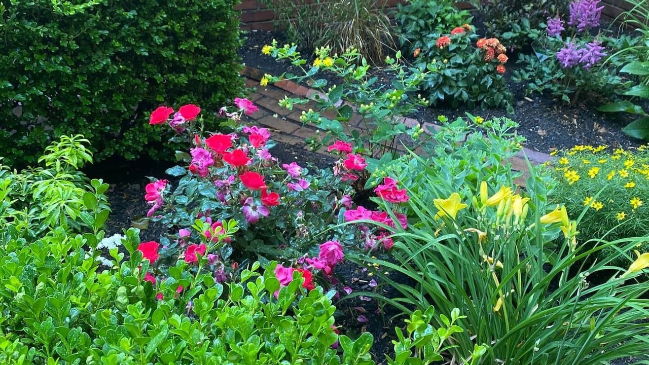 Photo of Outdoor in Elmira