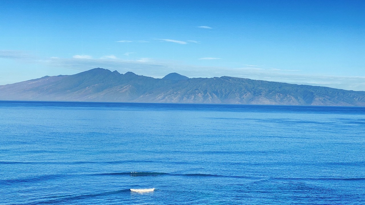 Photo of Others in Kahana