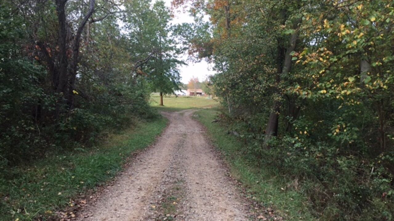 Photo of Outdoor in Deerfield