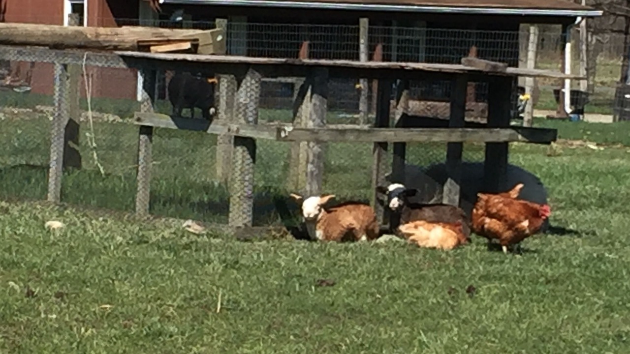 Photo of Others in Deerfield