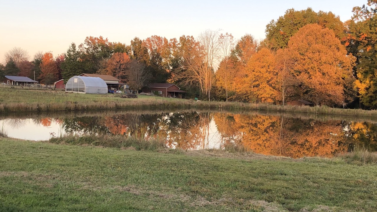 Photo of Outdoor in Deerfield