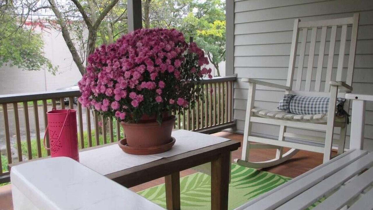 Photo of Outdoor in Ithaca