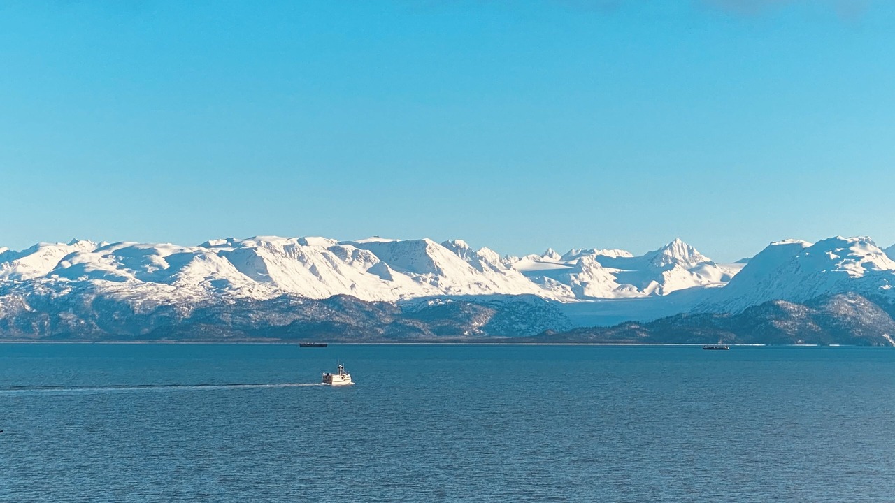 Photo of Others in Homer