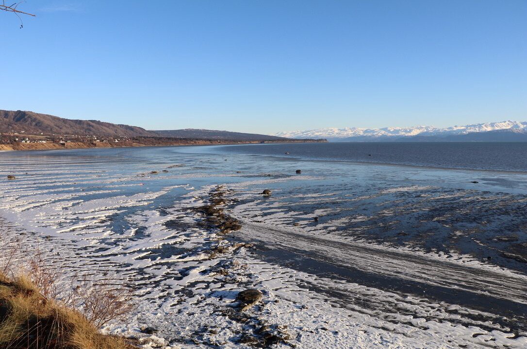 Photo of Others in Homer