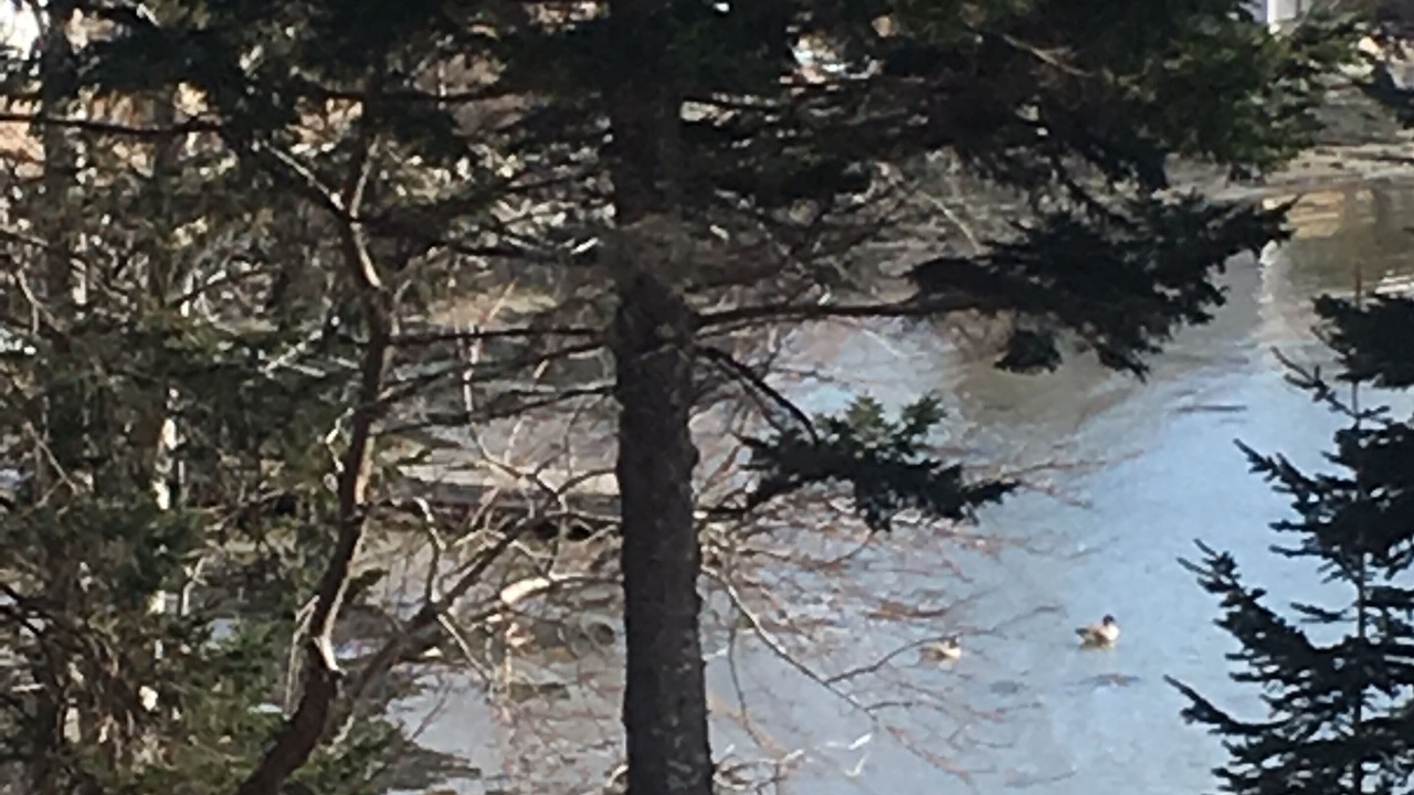 Photo of Others in Boothbay Harbor