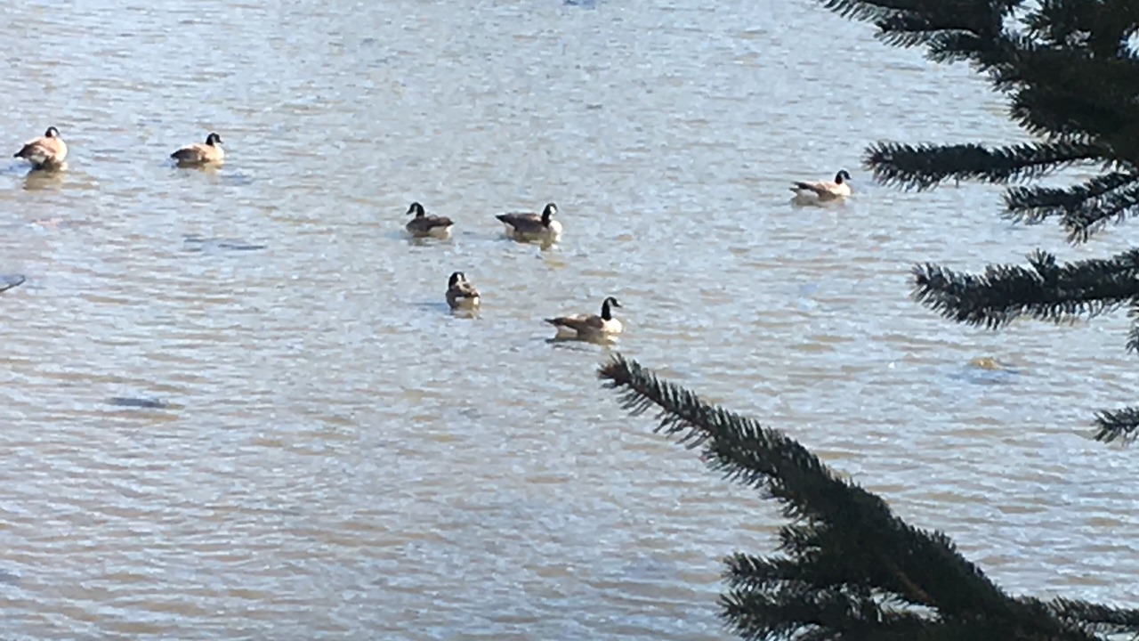 Photo of Others in Boothbay Harbor