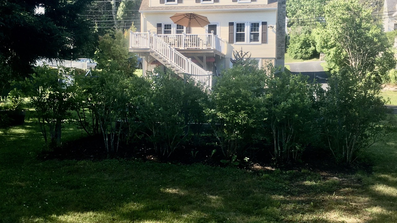Photo of Outdoor in Boothbay Harbor