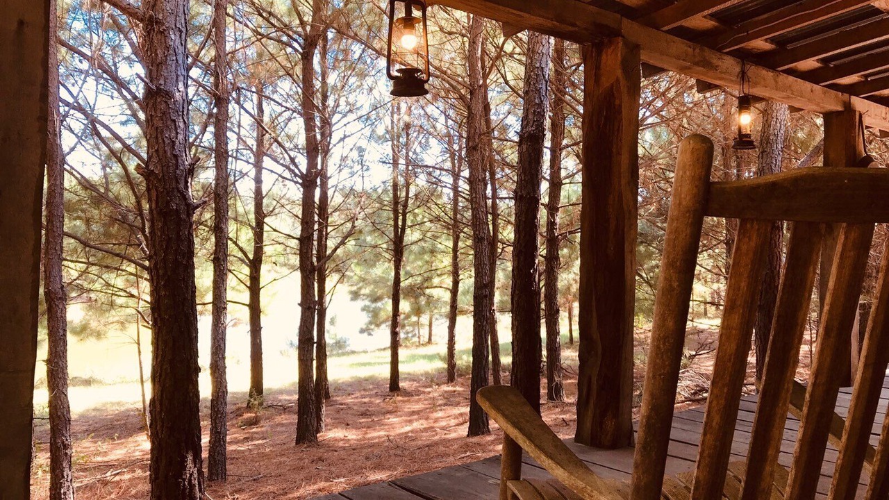 Photo of Outdoor in Eustace