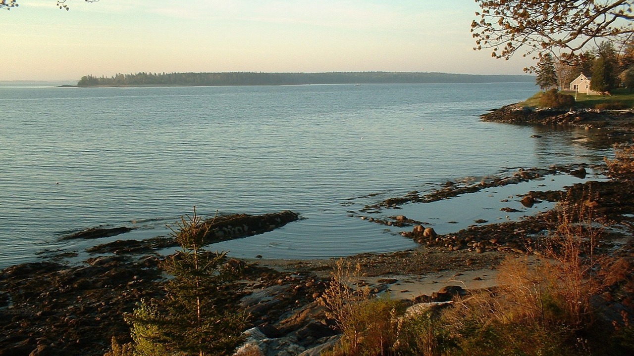 Photo of Others in Round Pond