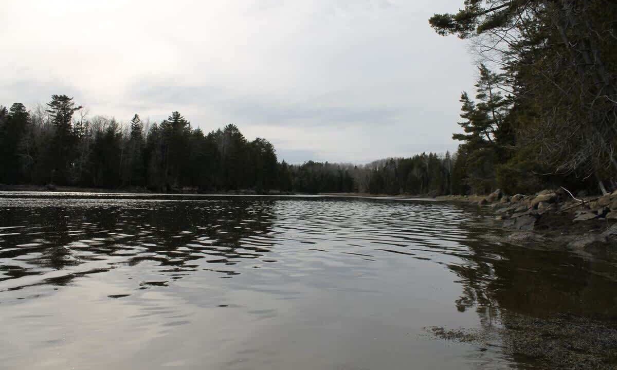 Photo of Others in Sullivan