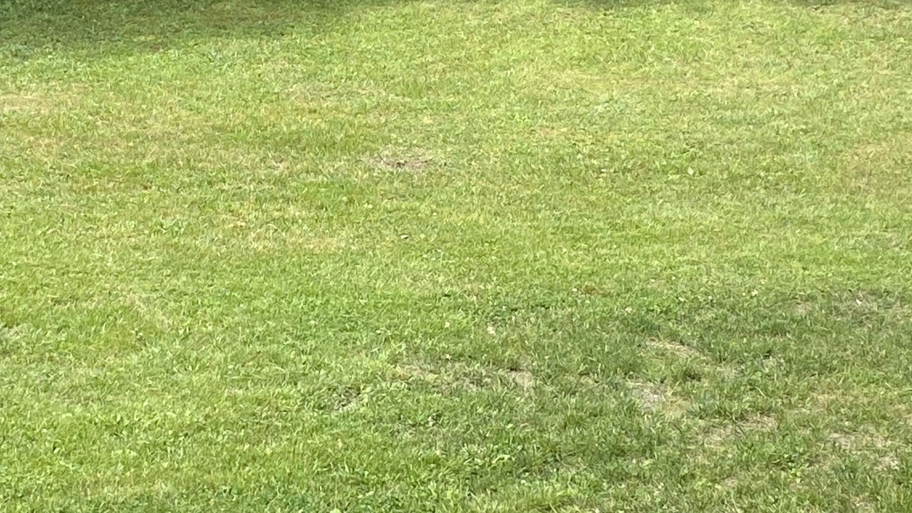 Photo of Outdoor in Clarksville