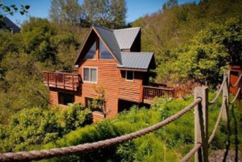 Photo of Outdoor in Homer