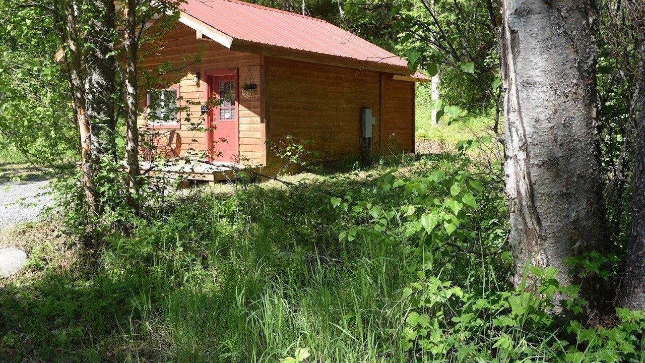 Photo of Others in Talkeetna