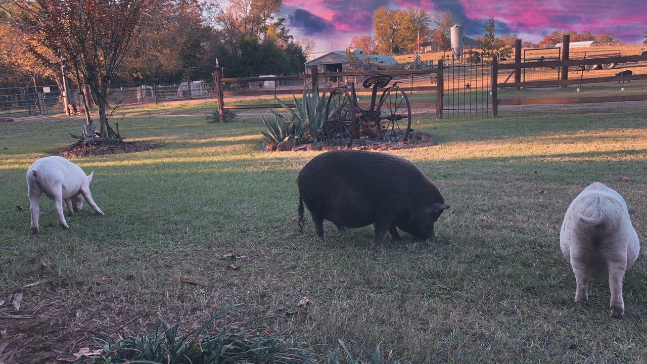 Photo of Outdoor in Gilmer