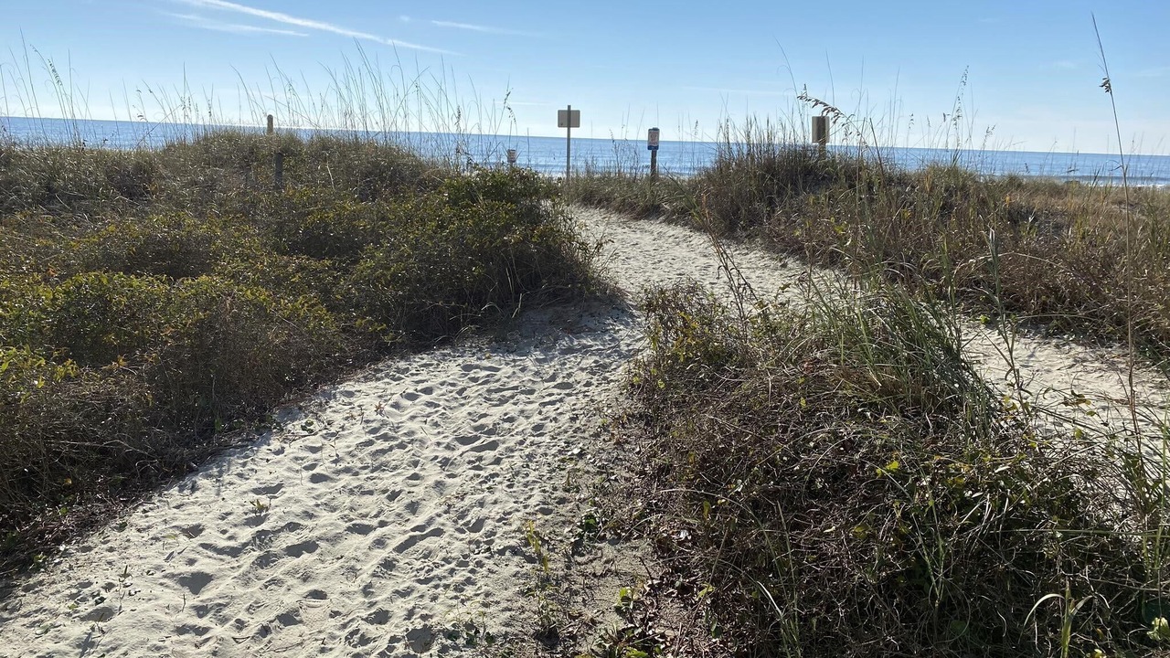 Photo of Others in Crescent Beach