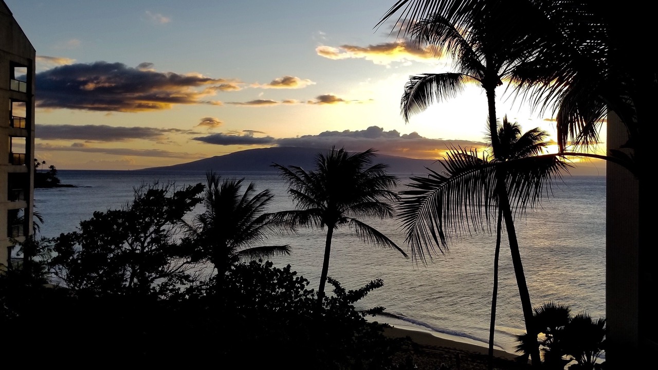 Photo of Others in Kahana