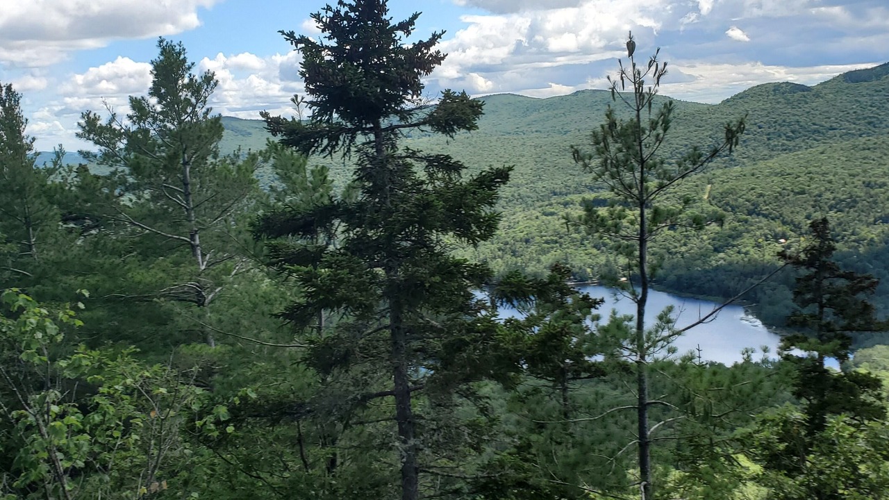 Photo of Others in Bryant Pond