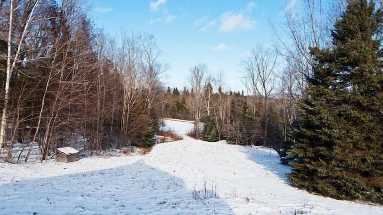 Photo of Others in Rangeley