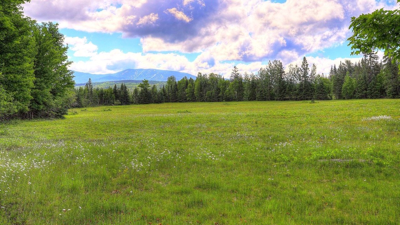 Photo of Others in Rangeley