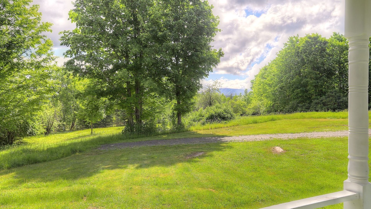 Photo of Others in Rangeley