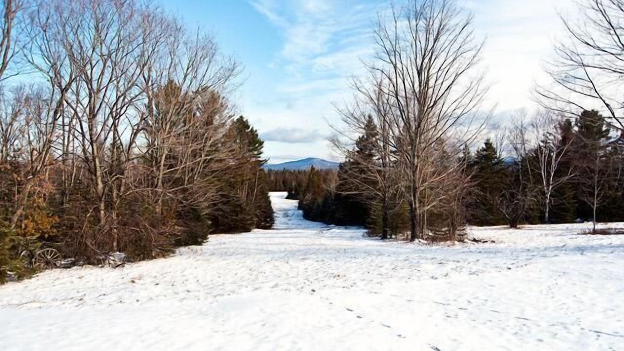 Photo of Others in Rangeley