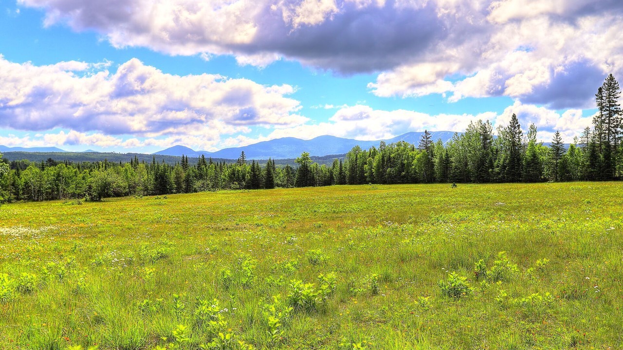 Photo of Others in Rangeley