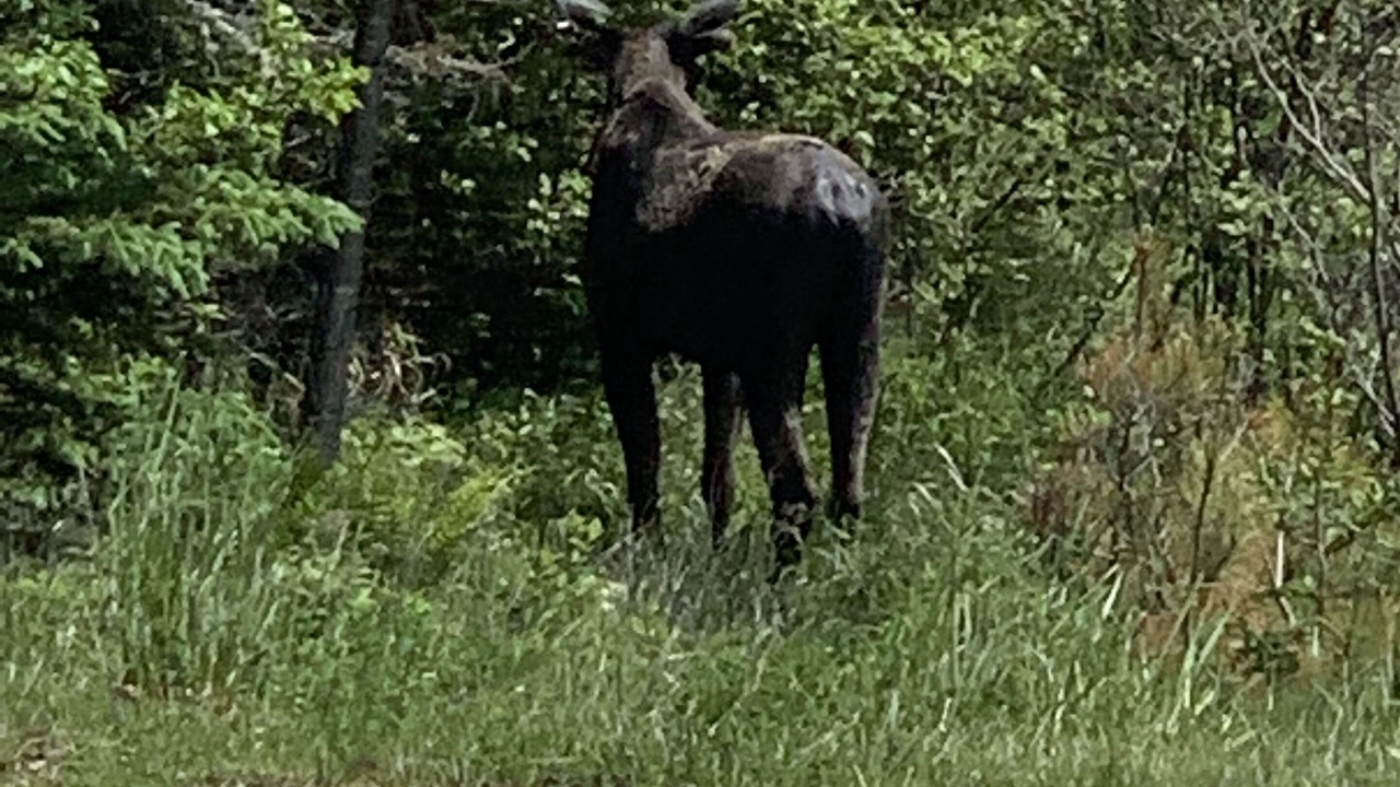 Photo of Outdoor in Shirley