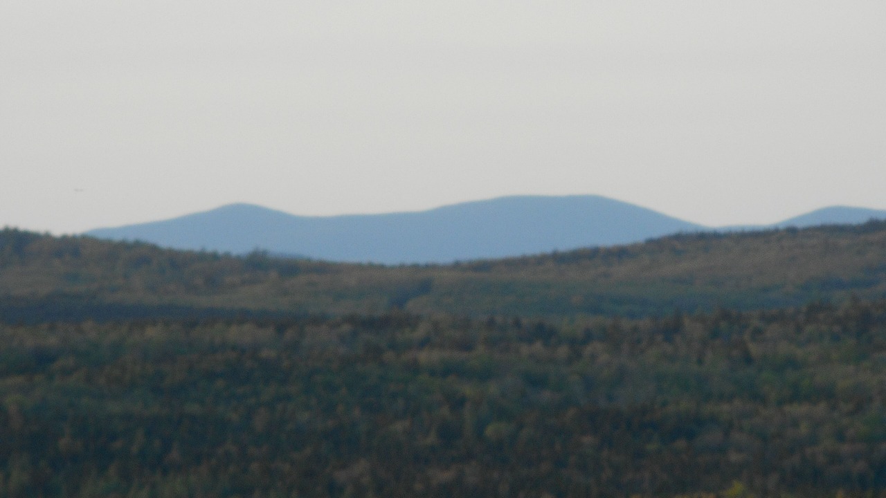 Photo of Others in Shirley
