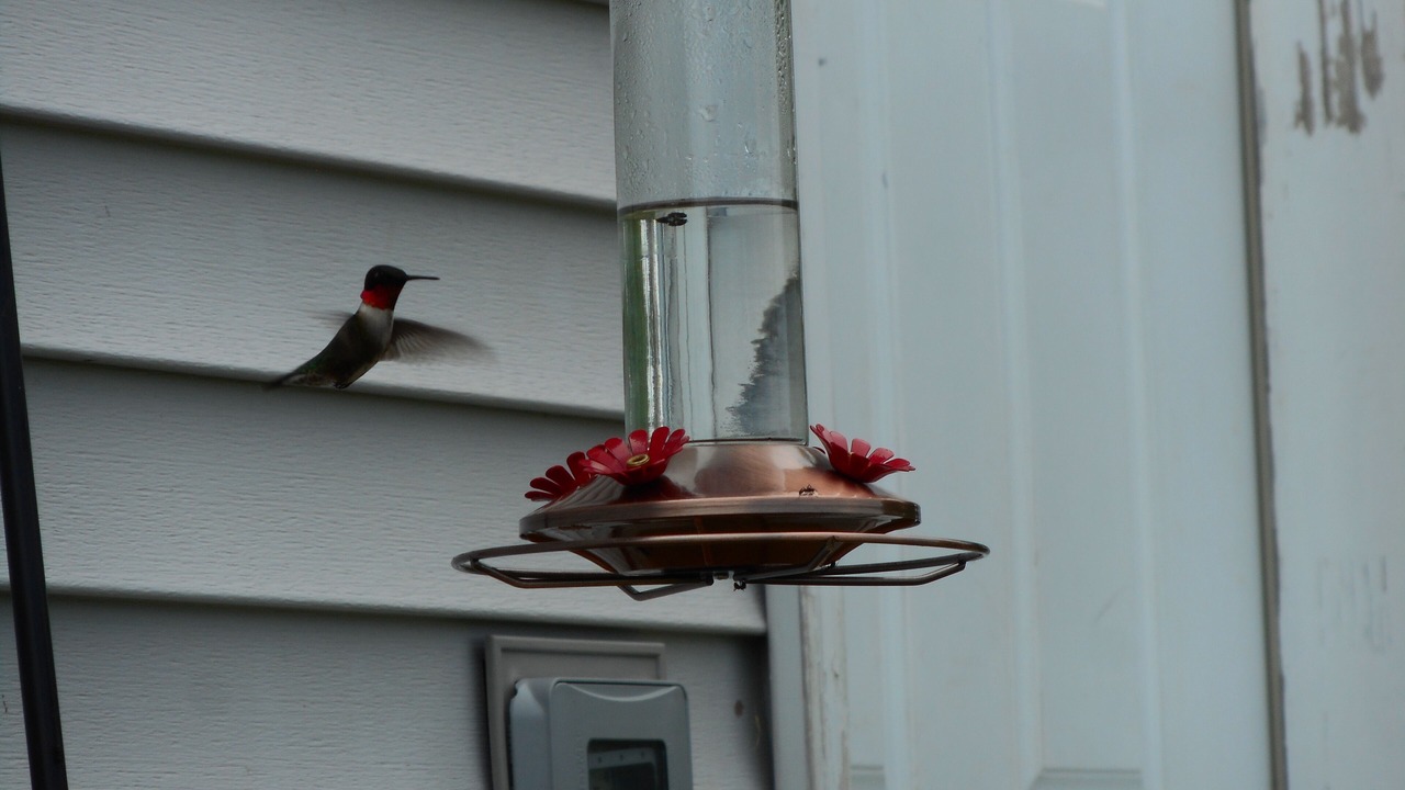 Photo of Outdoor in Shirley