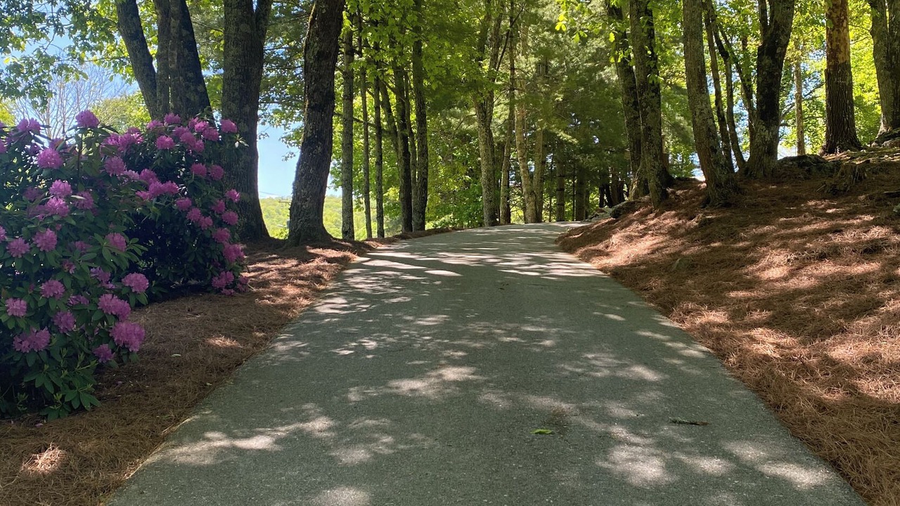 Photo of Outdoor in Cullowhee