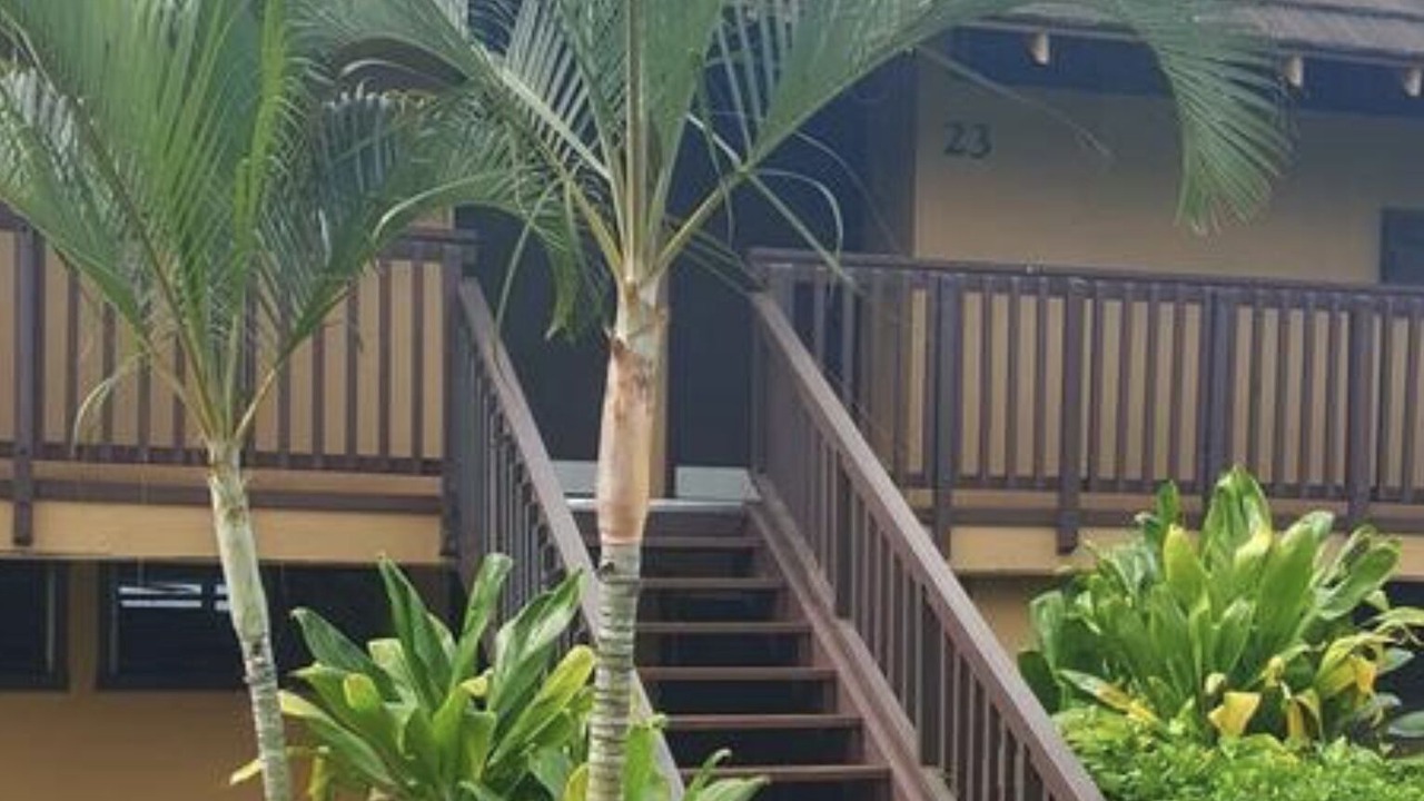 Photo of Outdoor in Maunaloa