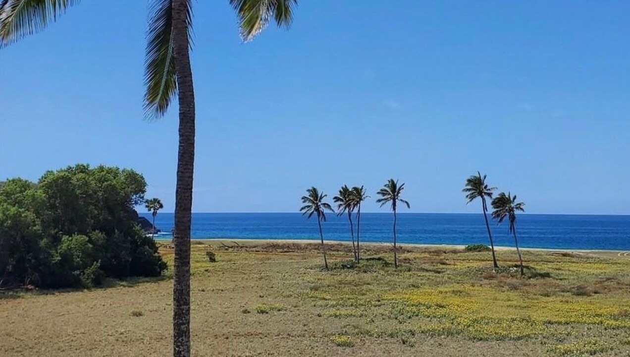 Photo of Others in Maunaloa