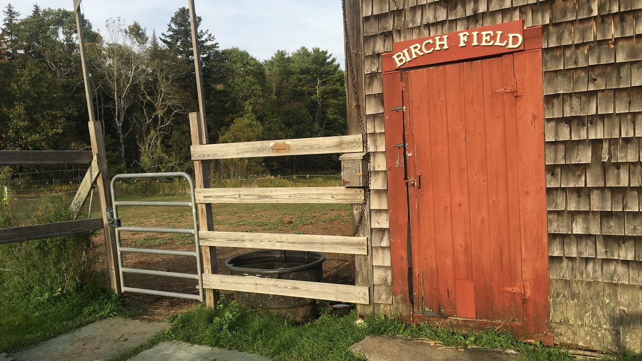 Photo of Outdoor in Waldoboro