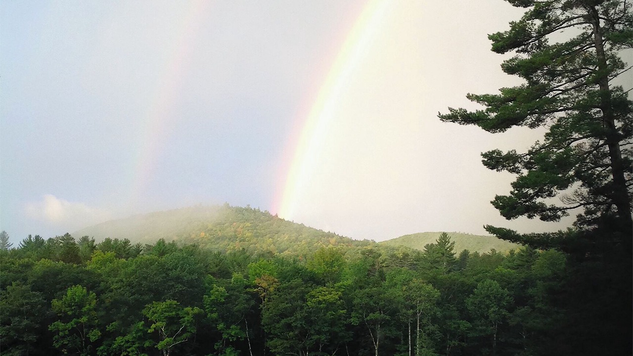 Photo of Others in The Glen