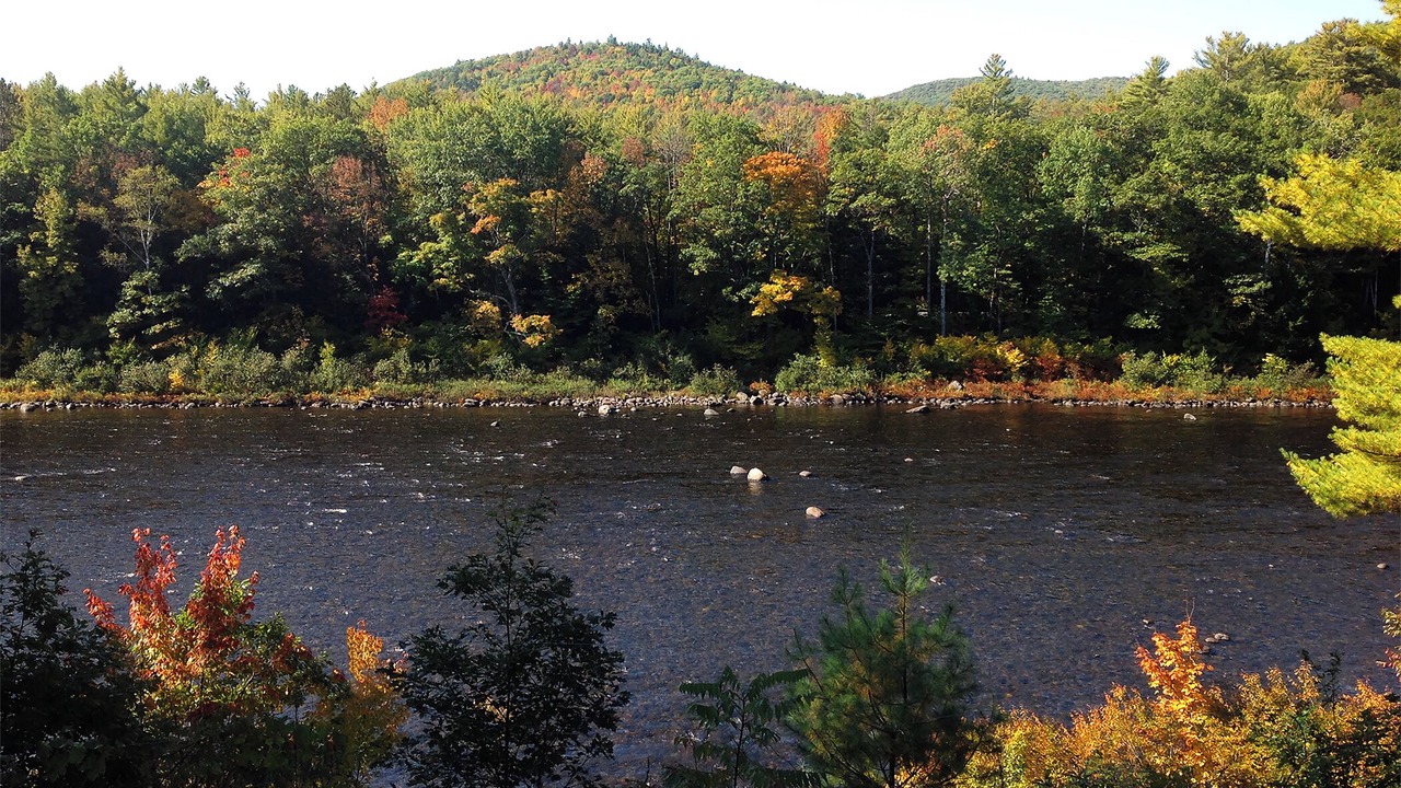 Photo of Others in The Glen