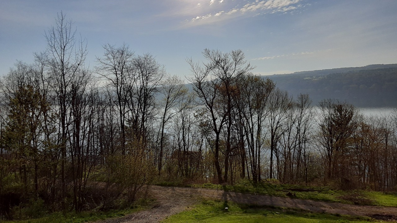 Photo of Others in Hammondsport