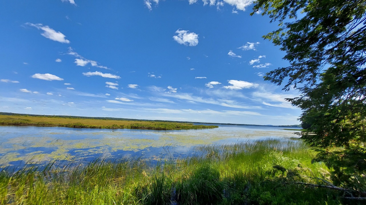 Photo of Outdoor in Mariaville