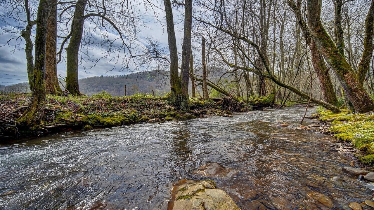 Photo of Others in Hayesville
