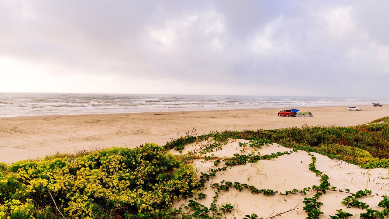 Photo of Others in Port Aransas