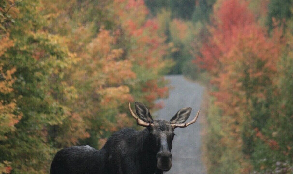 Photo of Others in Franklin County